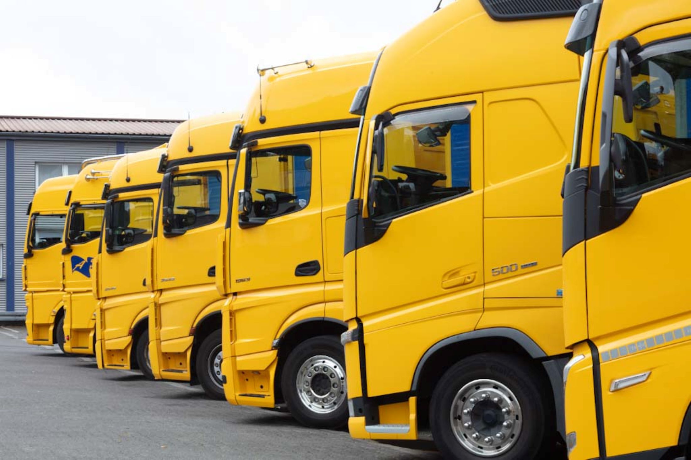 Mehrere moderne Lkw der Spedition Achenbach im Fuhrpark, bereit für den nächsten Transportauftrag.